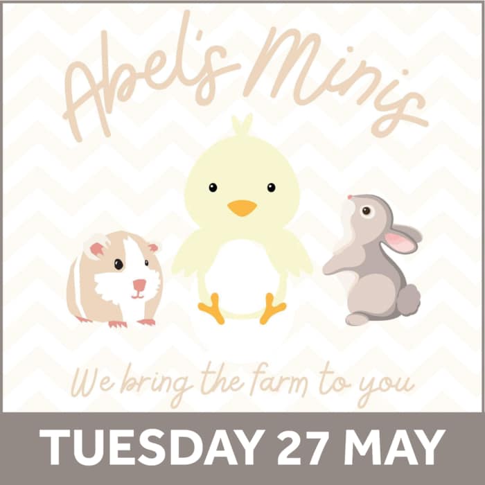 Abel Mini Petting Zoo